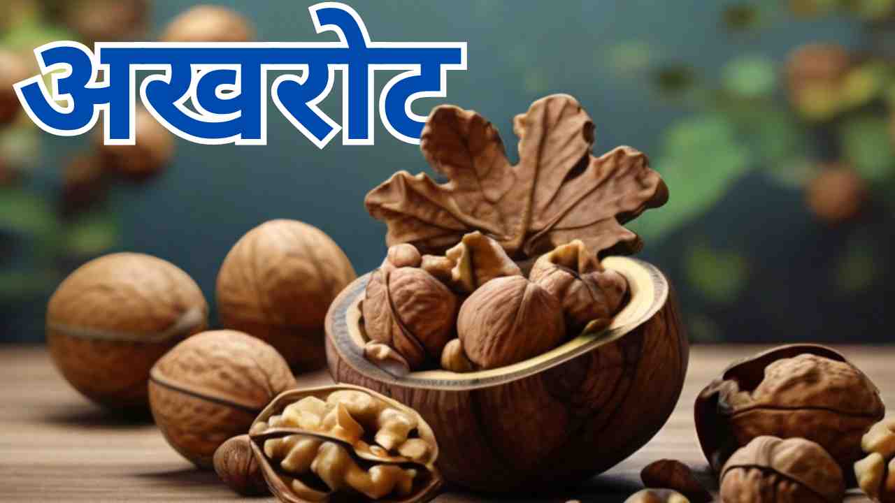 Is Walnut Good for Brain in Hindi